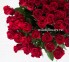 Букет из красных роз (51 шт)